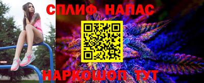 молекула духа Краснознаменск