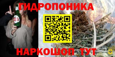 молекула духа Краснознаменск