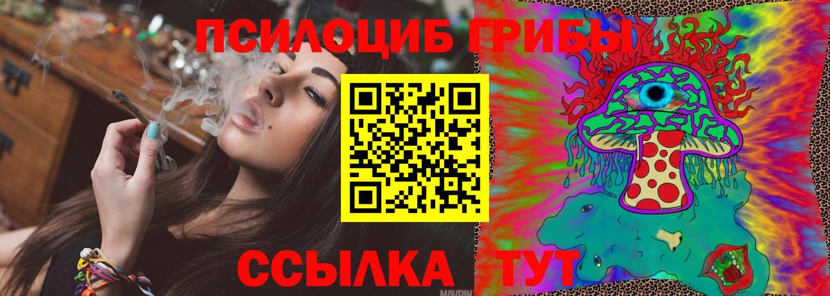 Псилоцибиновые грибы Psilocybine cubensis  Вход с VPN  Знаменск 