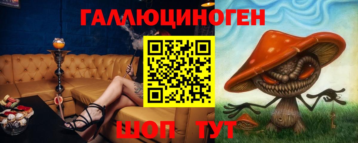 Галлюциногенные грибы Psilocybine cubensis Знаменск